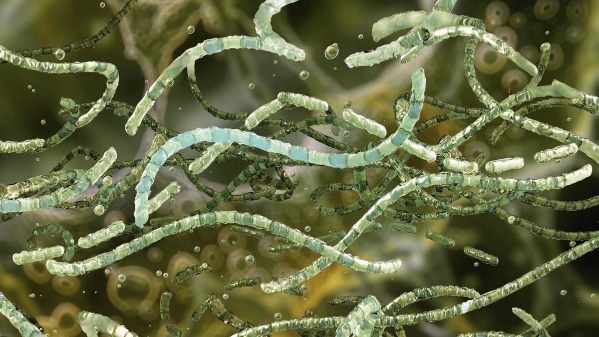 Botrány a világ legnagyobb élelmiszercégénél, már Magyarországra is begyűrűzött: ezekre a termékekre adott ki riasztást a hatóság 