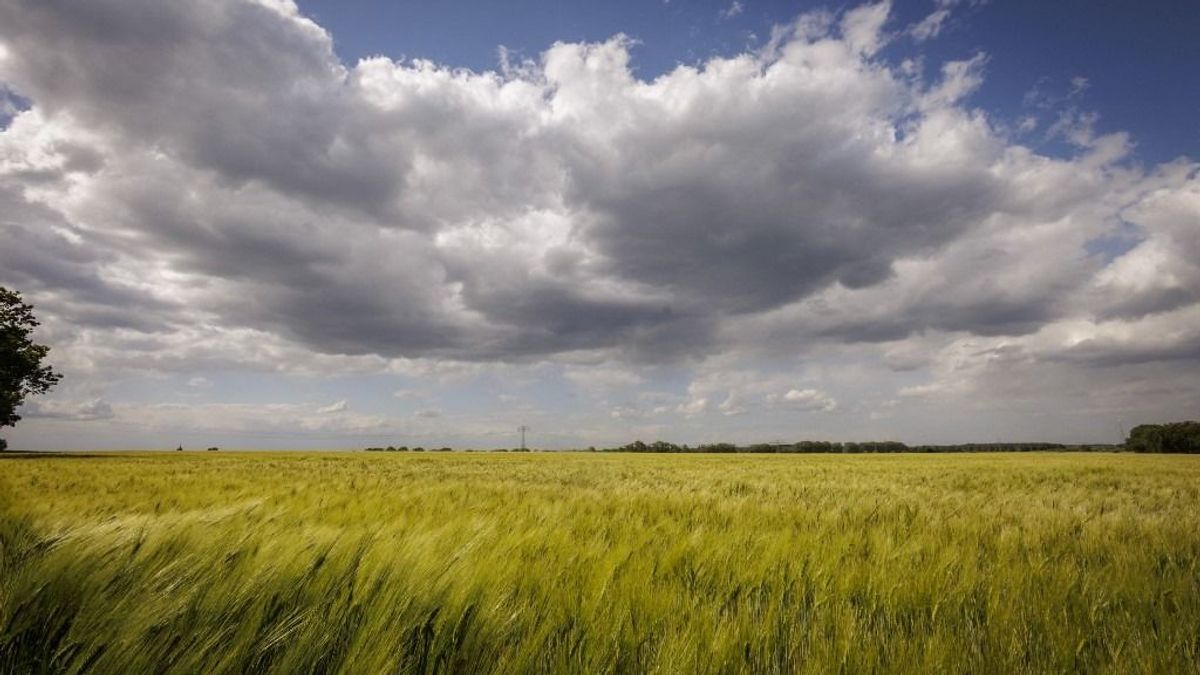 Hivatalos: átverték a magyar gazdákat, most eldőlt, mi lesz a bebukott pénzükkel – kereken 30 napot kaptak, különben bottal üthetik 