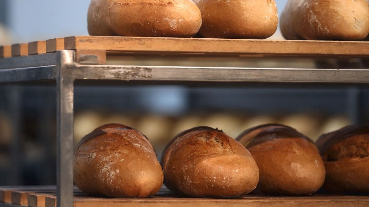 LUS_7826, kenyér adó