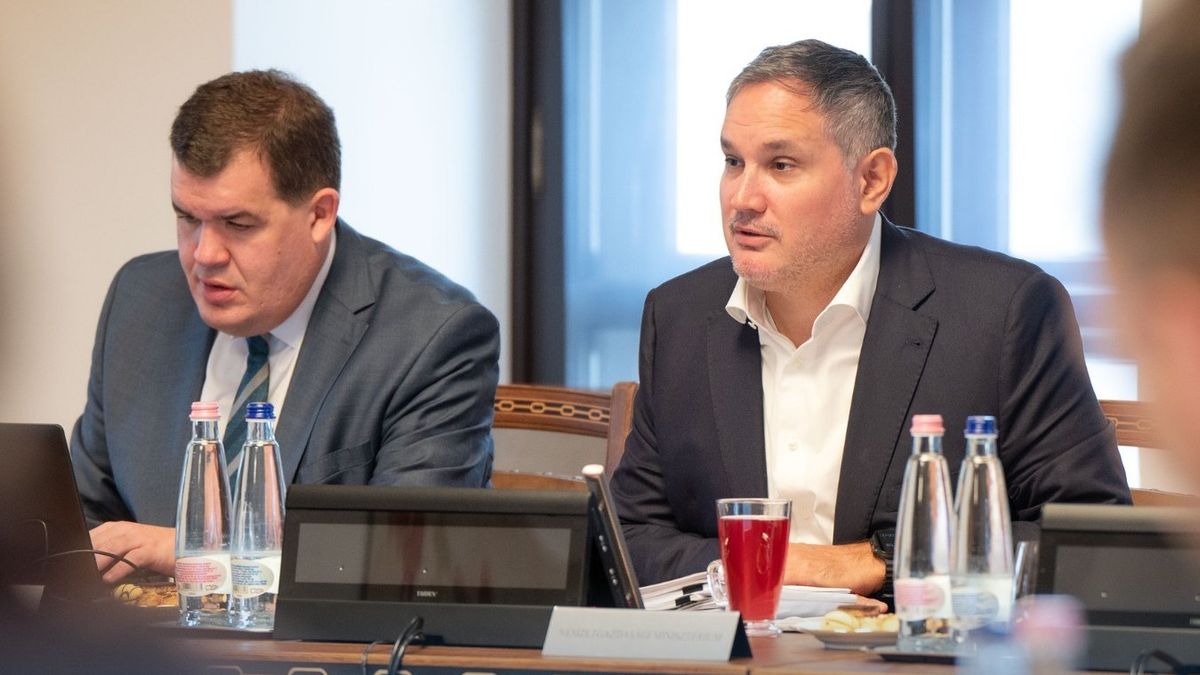 Nagy Márton gondolkodóba esett: a gazdaság újabb szereplőit mentheti meg a kormány – "Lépnünk kell" 