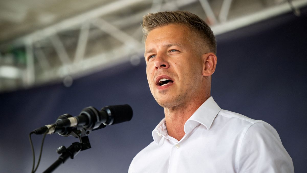 Magyar Péter , Tisza Párt