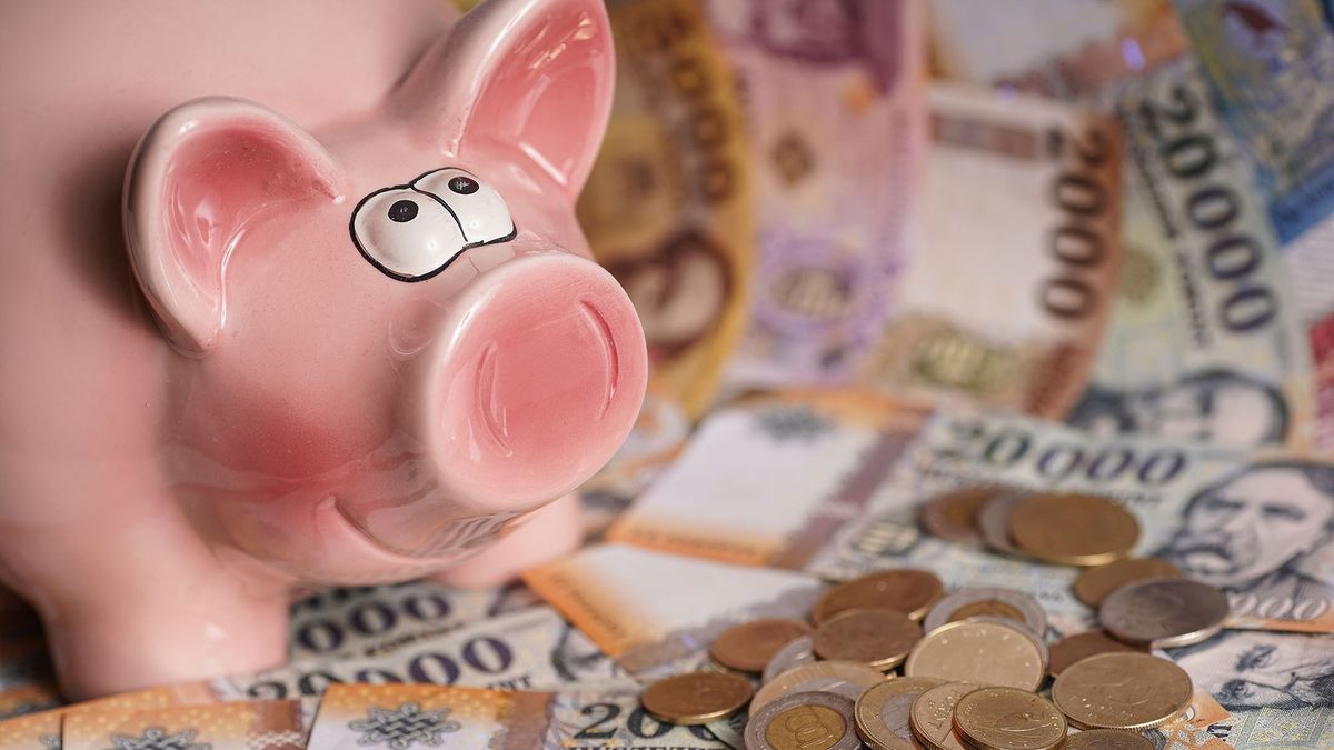 befektetés , érem érme bankjegy papírpénz pénz malacpersely megtakarítások  Forint Coins Hungarian currency, in the background banknotes of different denominations.  Pig money box on forint coins, banknotes. Európe Hungary