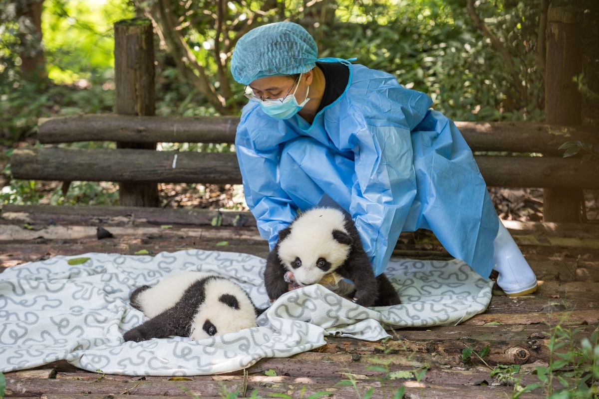 Chengdu,,China,-,September,28,,2018:,Nurse,Attendant,Caring,For