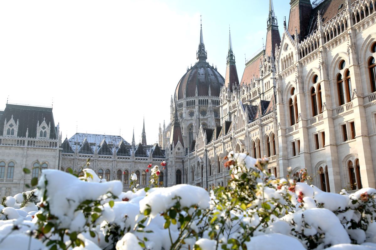 View,Of,Snow-covered,Bushes,With,Red,Berries,Near,The,Parliament