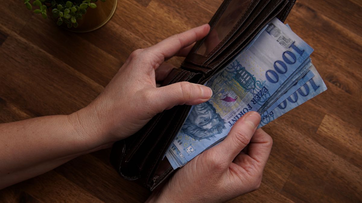 forint, pénztárca, pénz, bérek, bankjegy