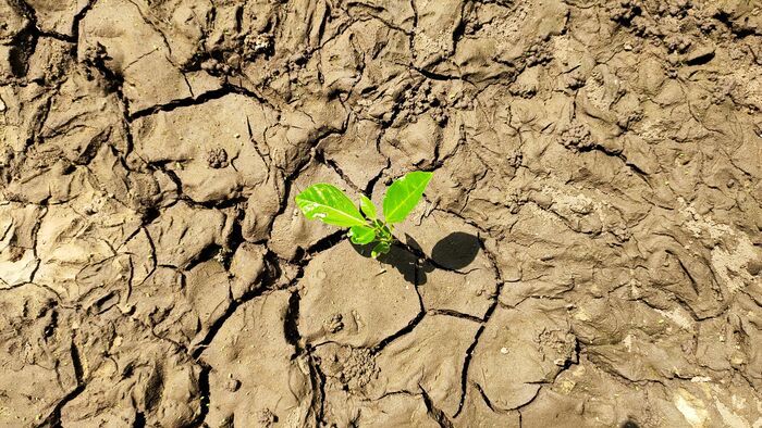 Klímaválság: riadót fújtak a szakértők, elfogyott a lendület a környezetvédelemben – ez a globális gazdaságnak is fájni fog