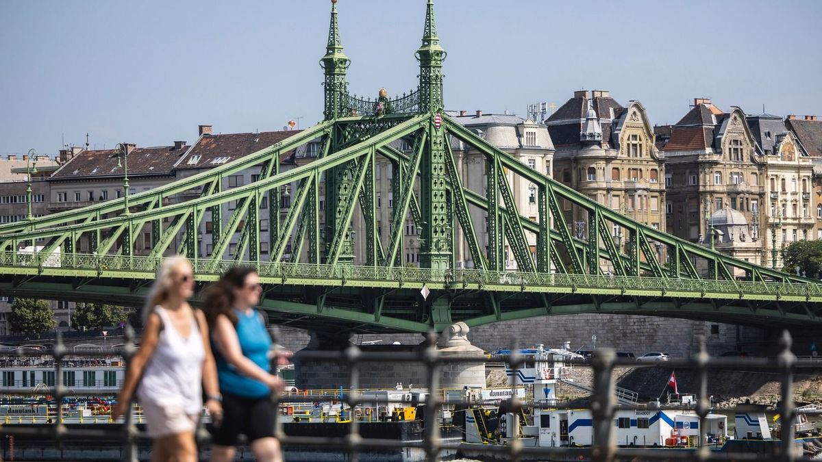 Vitézy Dávid bekameráztatná az összes budapesti hidat: olyan rendszert akar, amely a gyalogosakat is figyeli 