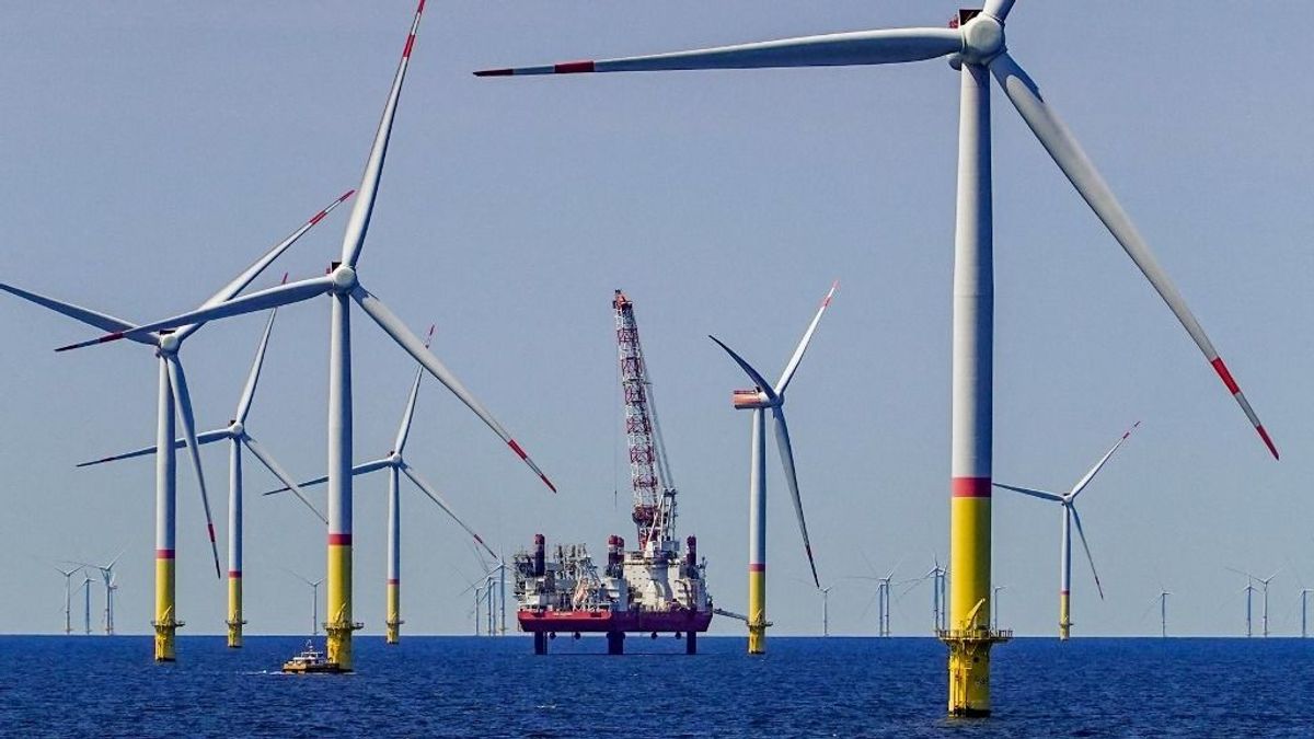 Valami fatális baj van a német szélkerekekkel, már Merzék is kénytelenek voltak elismerni – az ág is húzza őket? 