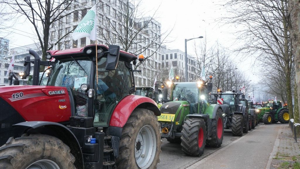 Farmers Demonstrated In Front Of The European Parliament In Strasbourg On The 21th January Mercosur gazda tüntetés