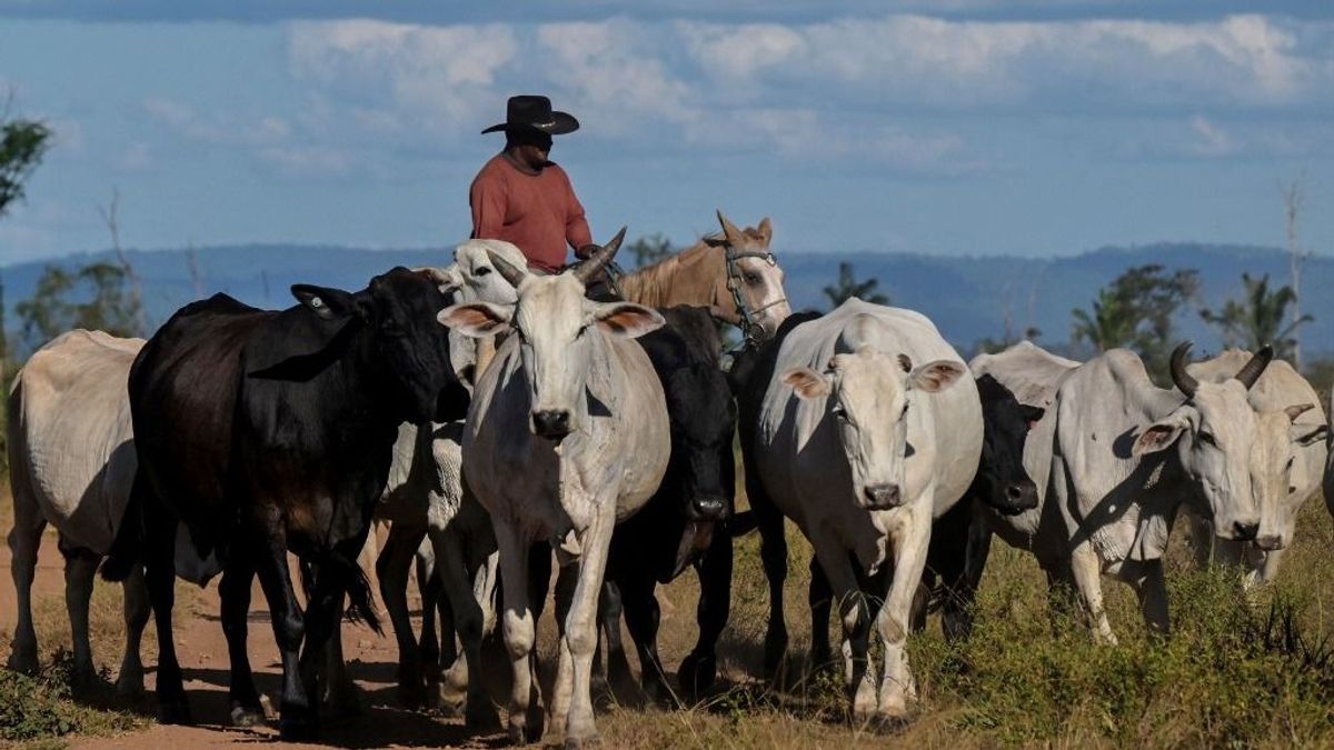 Ebben csúnyán lenyomták Amerikát, déli szomszédja hozta el a trónfosztást – ez még csak a kezdet, tovább nőhet a szakadék 