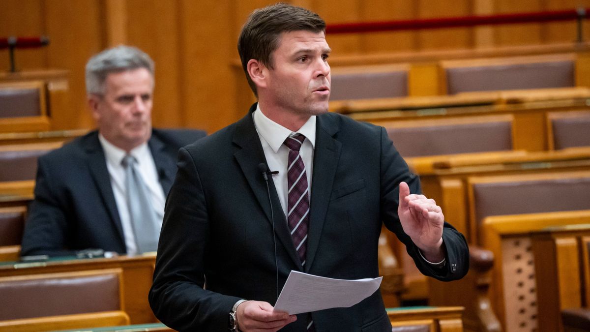 CZEPEK Gábor energia