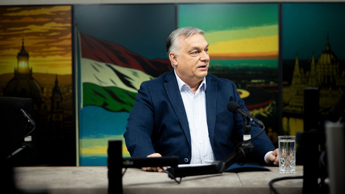 Orbán Viktor nem véletlenül beszélt az 50 forintos krumpliról, ami hirtelen 300 lesz – óriási a nyomás a gazdákon, de a kormány lépett 