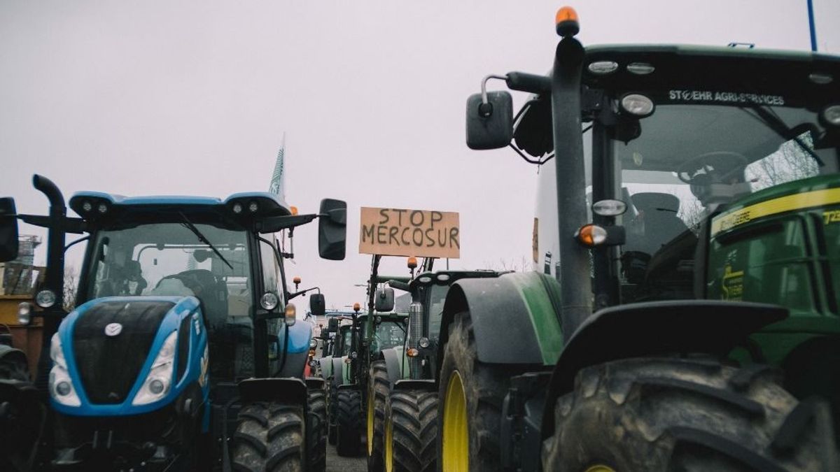 Állítsátok meg Von der Leyent, követelik a tüntető gazdák az Európai Parlamentnél – galéria 