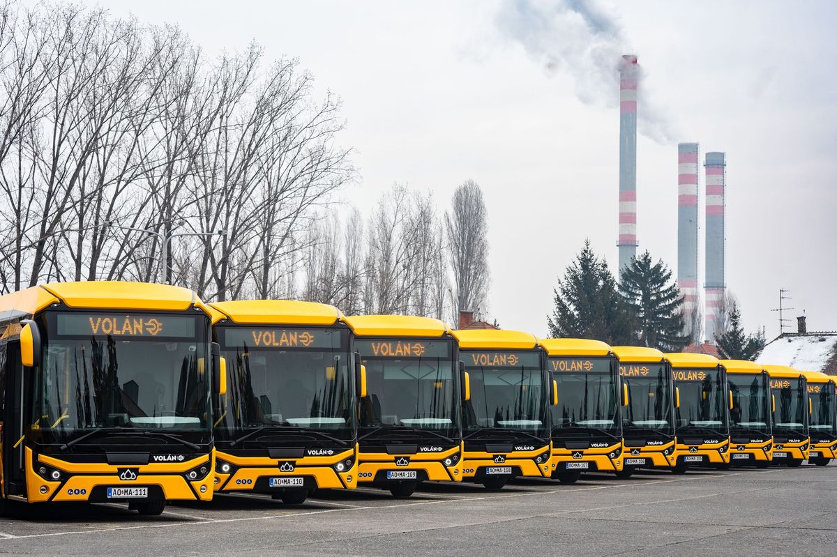 busz