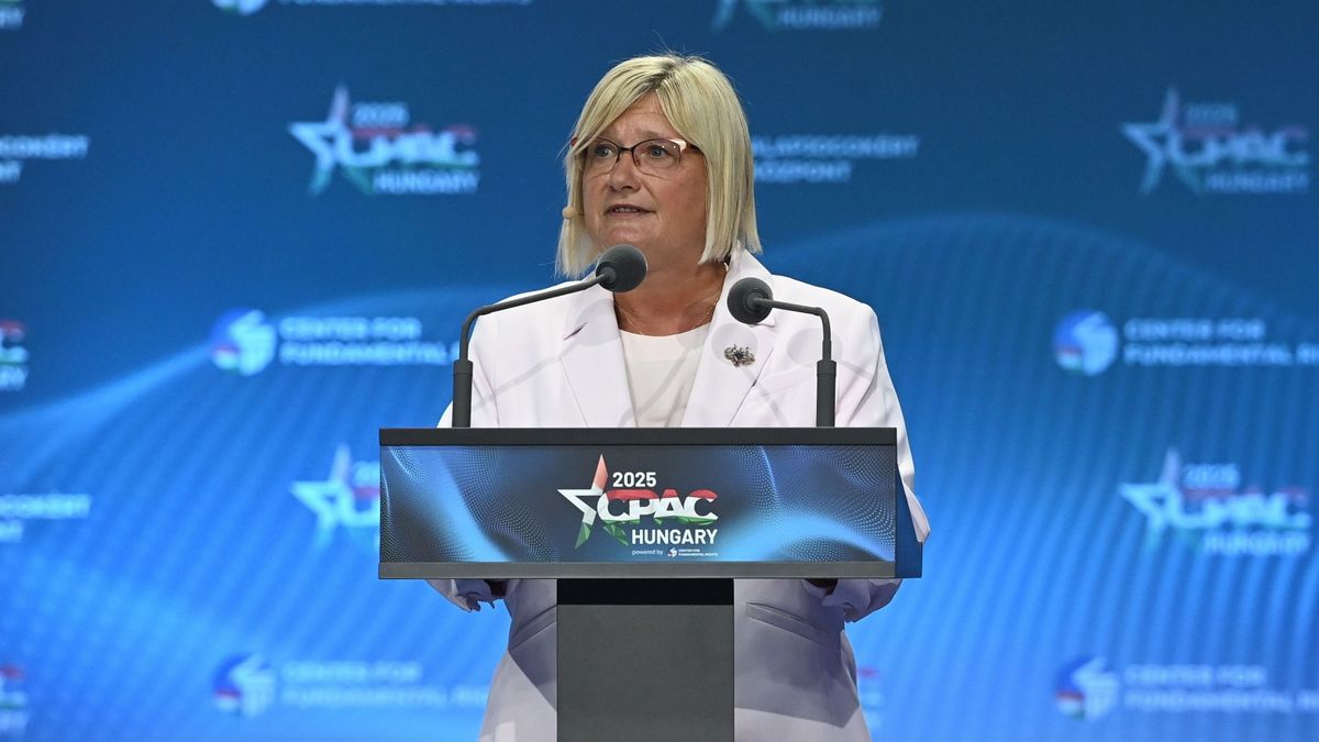 GÁL Kinga brüsszeli botrány