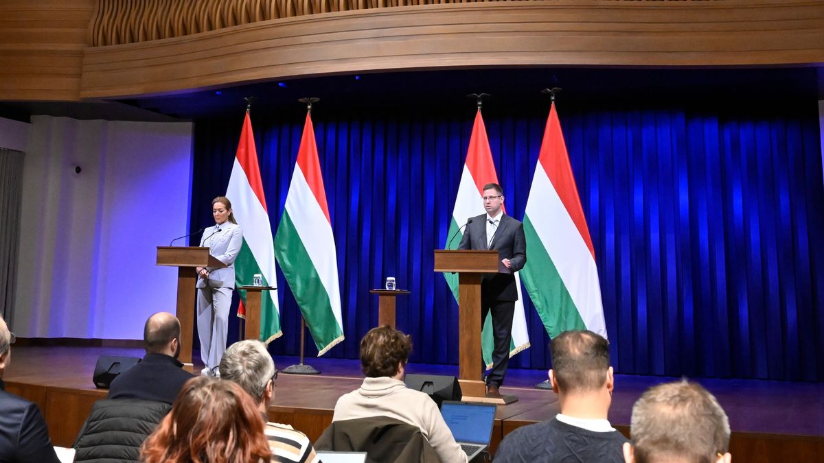 Kormányinfó: széles körre kiterjesztett rezsistopot vezetnek be itthon - Orbán Viktor felhatalmazásét kapott a kormánytól 