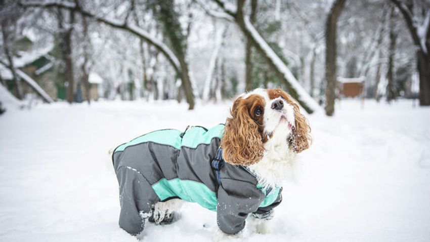 Havazás: lassan visszatért az élet a normális kerékvágásba, jöhet a mínusz 20 és a jeges eső