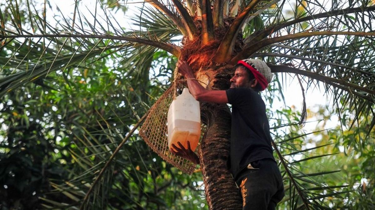 Borzasztó következményekkel járna a Nipah-vírus pandémiája 