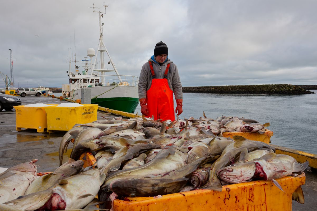 Grindavik,,Iceland,-,March,30,,2012,-,Icelandic,Fishermen,Land
