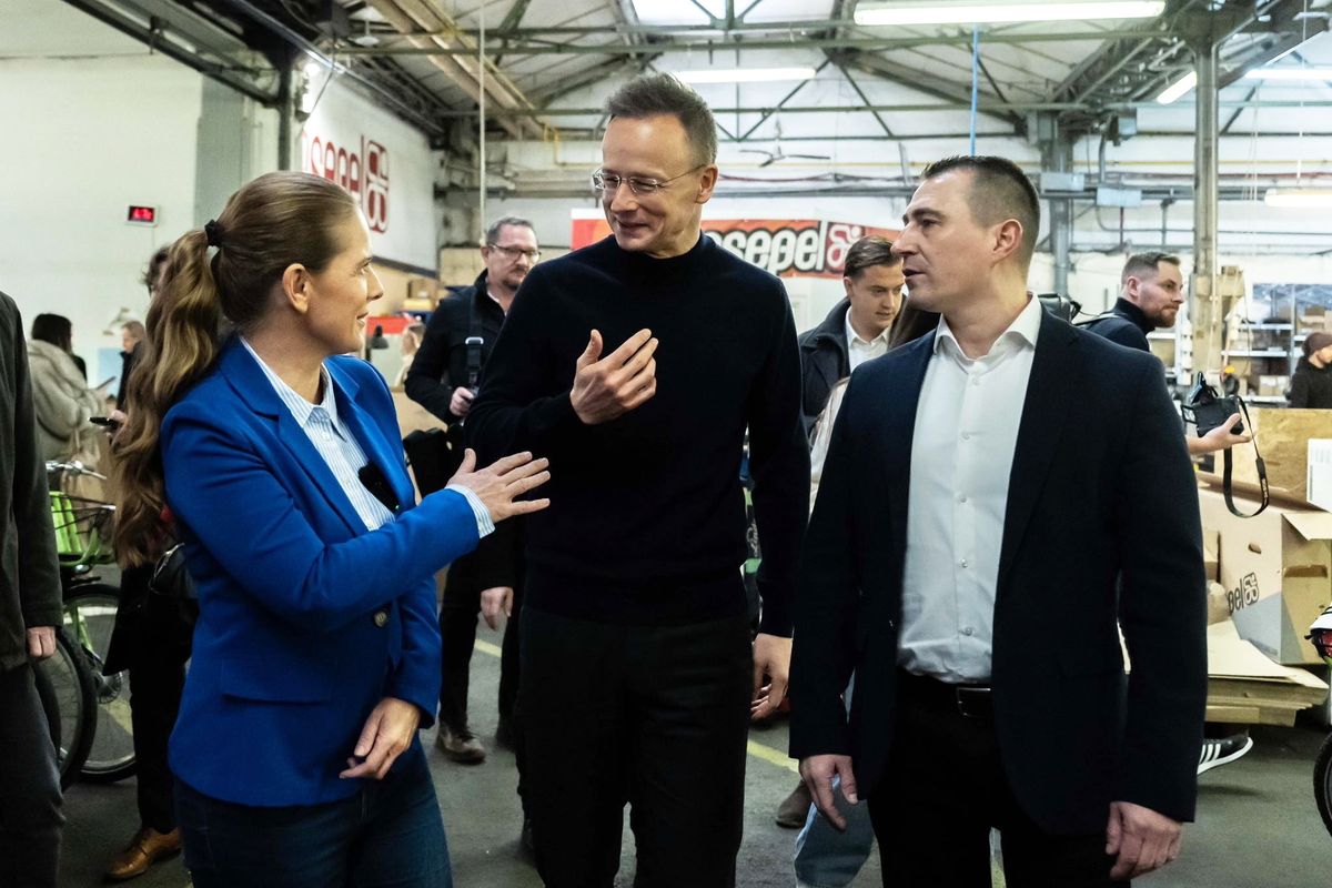 BORBÉLY Lénárd; KIRÁLY Nóra; SZIJJÁRTÓ Péter