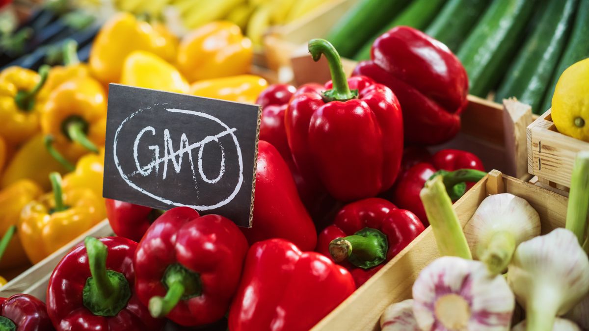 No,Gmo,Sign,On,A,Farmers,Market,Food,Stall,With