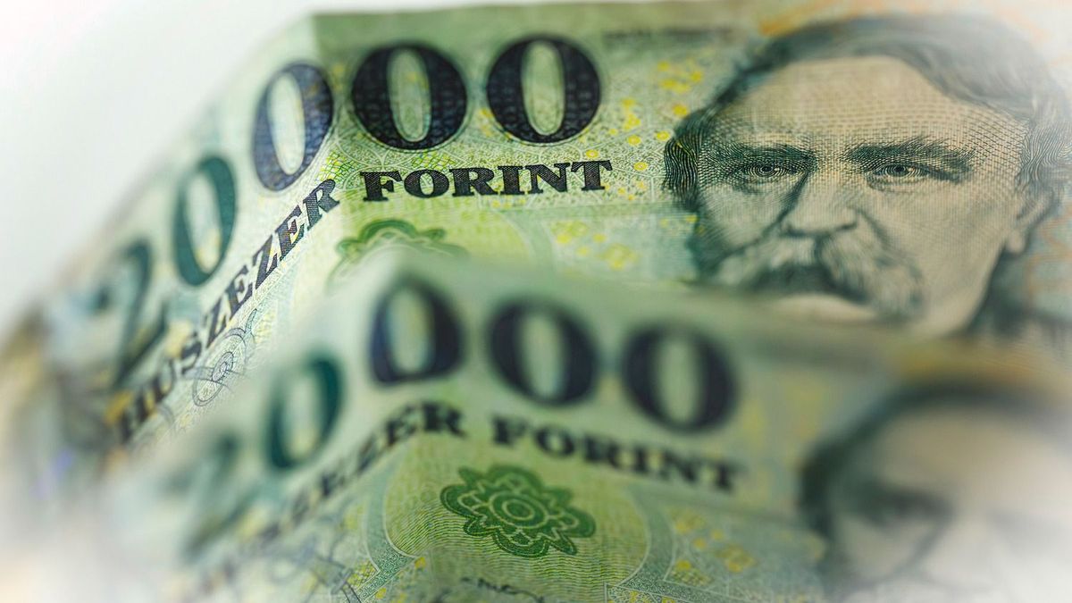 260203_forint_003_VZ