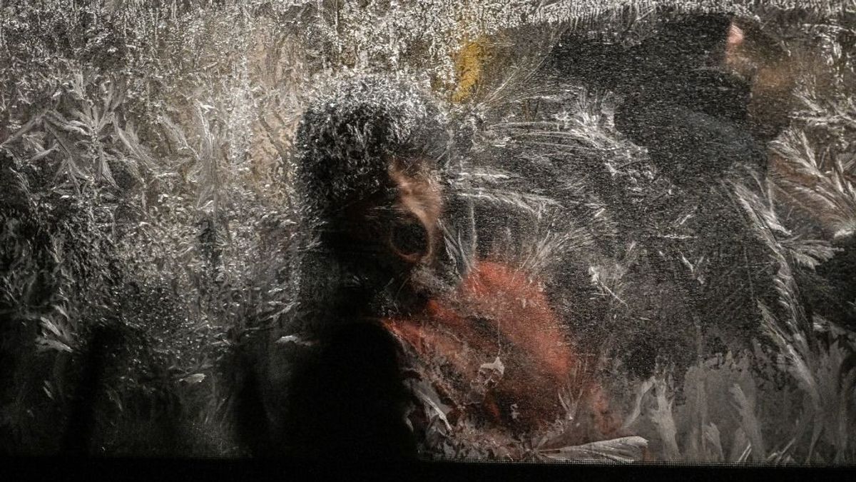 Négy év pusztítás és halál: fotógaléria az orosz–ukrán háborúról 