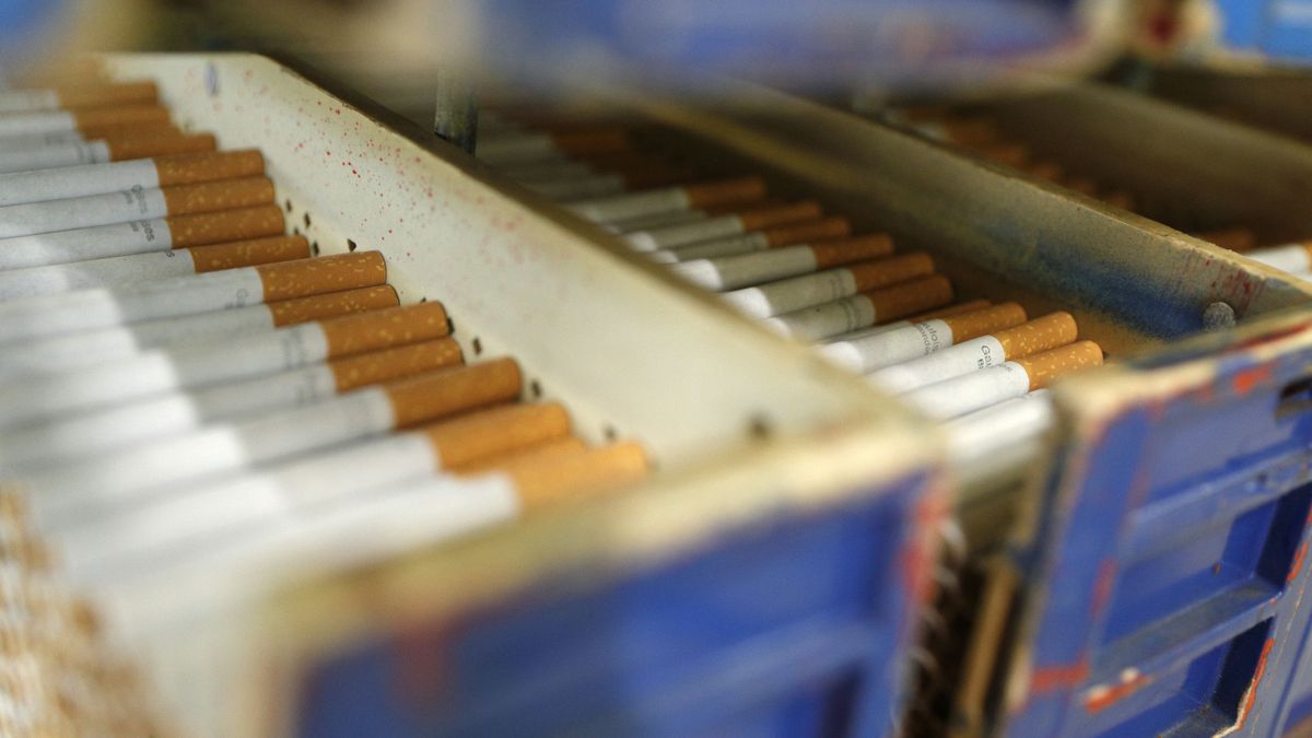 Megalázó pofont kapott Románia: visszamondta a gyárépítést az óriási multi, inkább másik országba vitte – 135 millió dollárt bukott Bukarest 