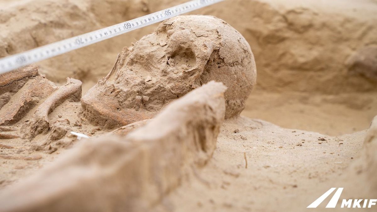 Kincset érő leleteket ástak ki az M1-es autópályán zajló munkálatok során. Fotó: MKIF Zrt.