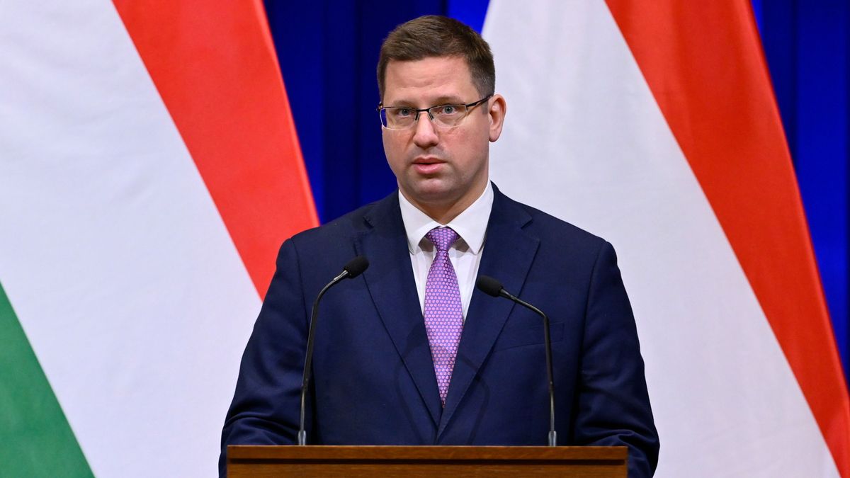 Gulyás Gergely
kormányinfó