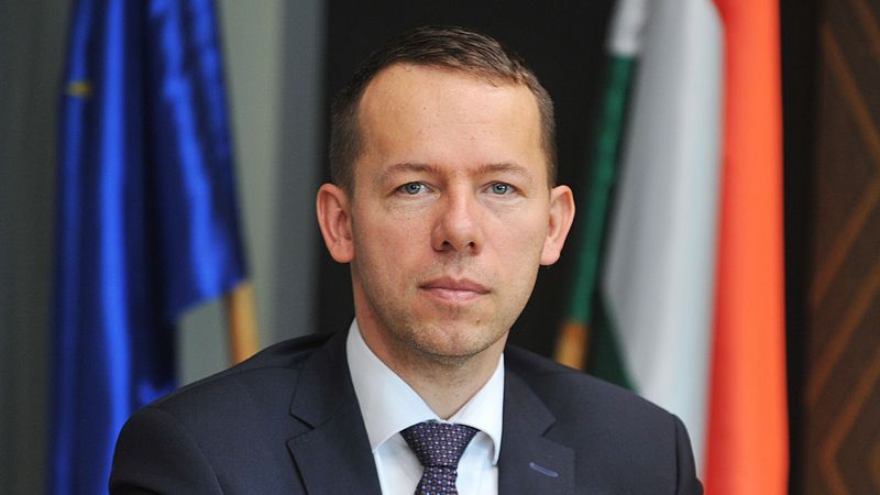 Dr. Renner Tamás szerző profilképe