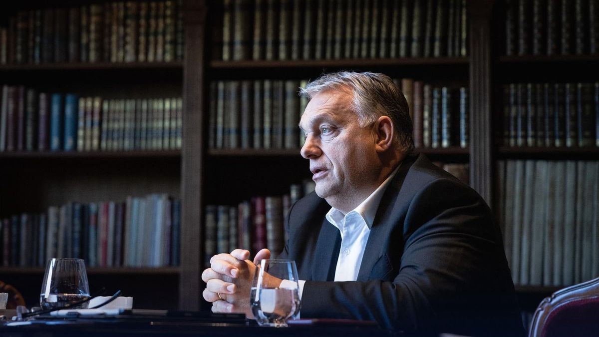Orbán Viktor kifakadt: "Az nem járja, hogy a gazda ötven forintot kap a krumpliért és viszontlátja a boltban háromszázért" 