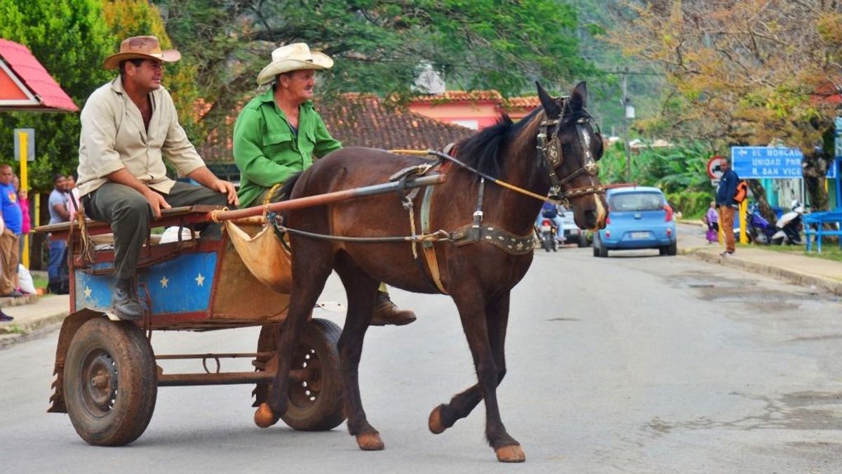 Cha-cha-cha a semmibe: mentik a turistákat a kanadaiak és az oroszok Kubából 