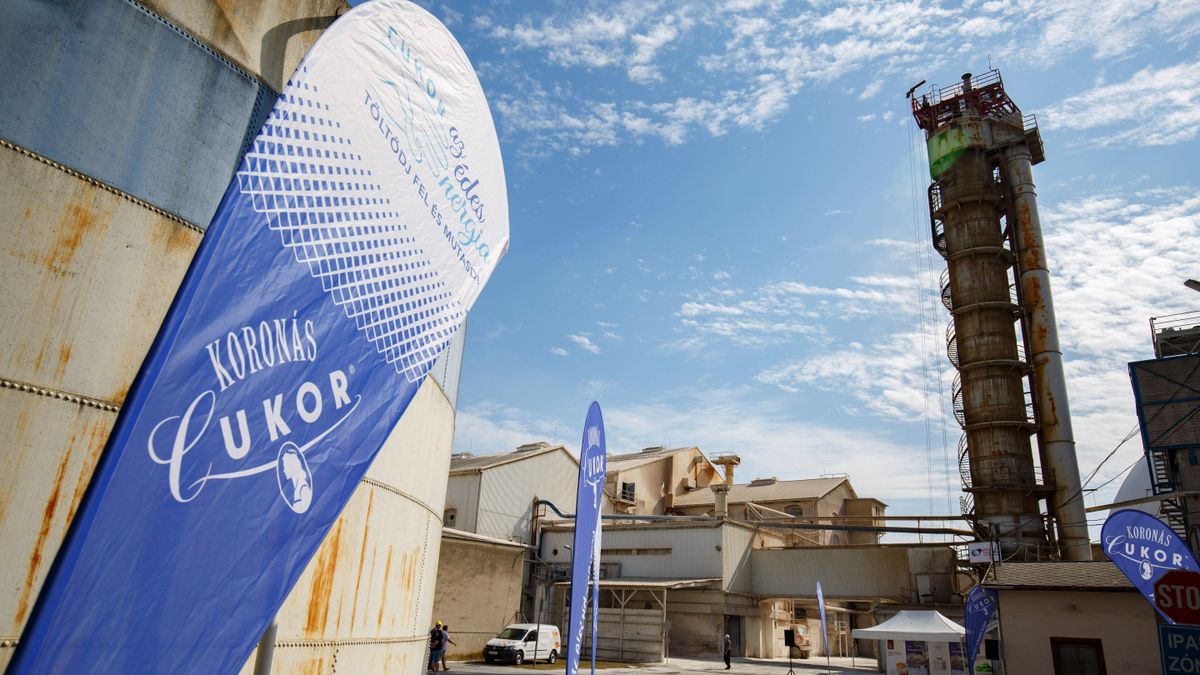 Édes-kevés: így áll most a hazai cukoripar 