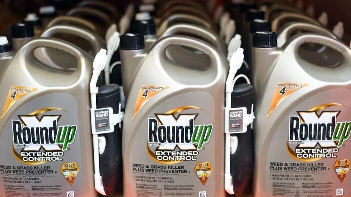 Fizetne a Bayer, mint a katonatiszt, csak legyen vége a gyomirtó miatti pereknek