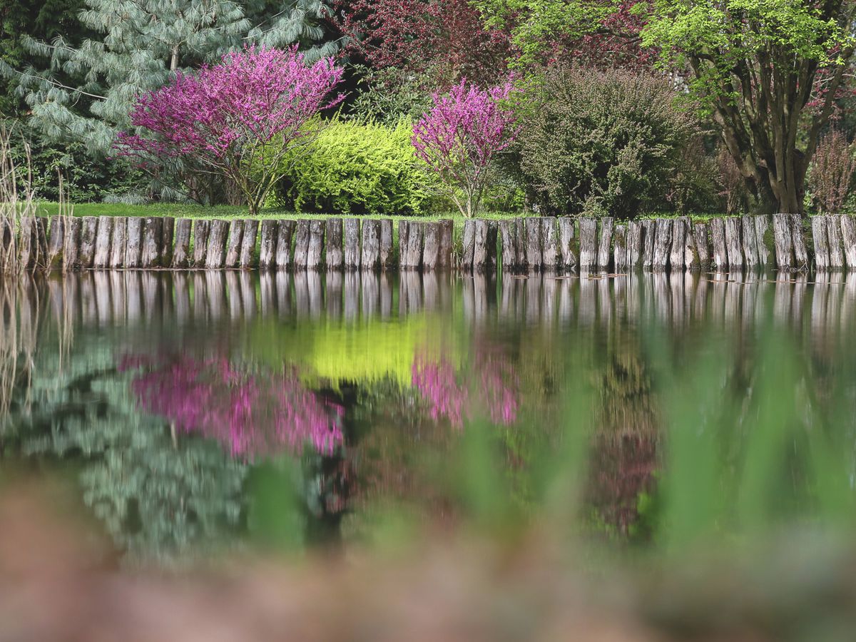 20240402_kamoniarboretum_ut (25)