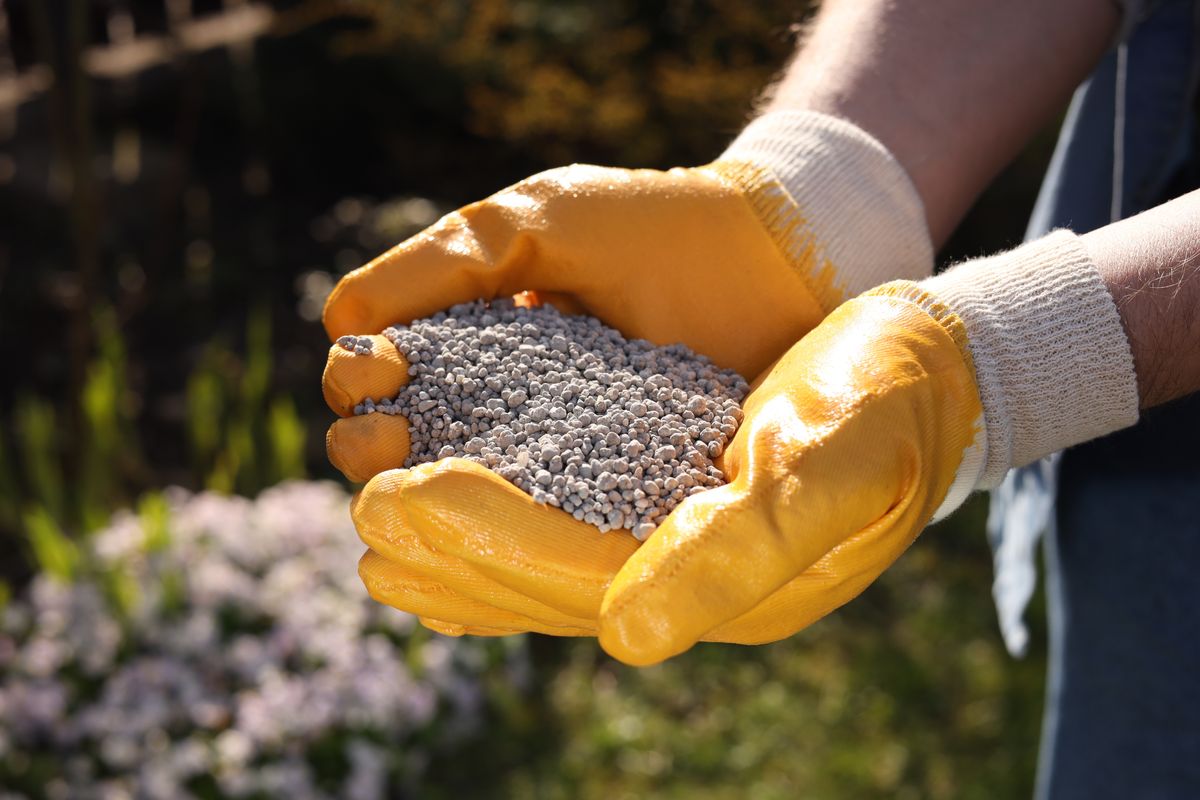 Man,With,Fertilizer,In,Hands,Outdoors,,Closeup