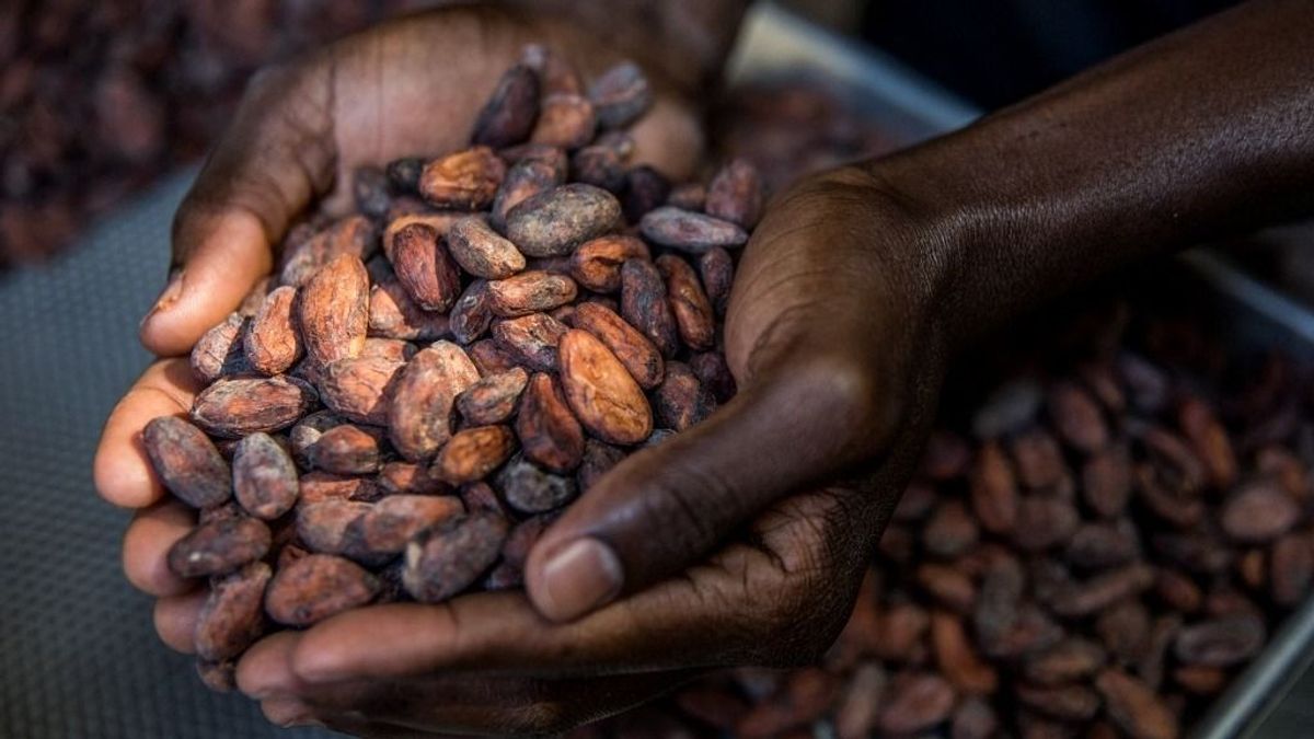 Lassan luxus lesz az édességfogyasztás: aranyárban mérik a legnépszerűbb élelmiszert 