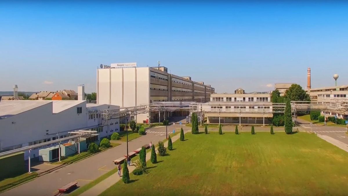 Itt a vége: elárverezik a legendás magyar gyárat, a szocializmusban rajongtak érte – meglepő a kikiáltási ár 