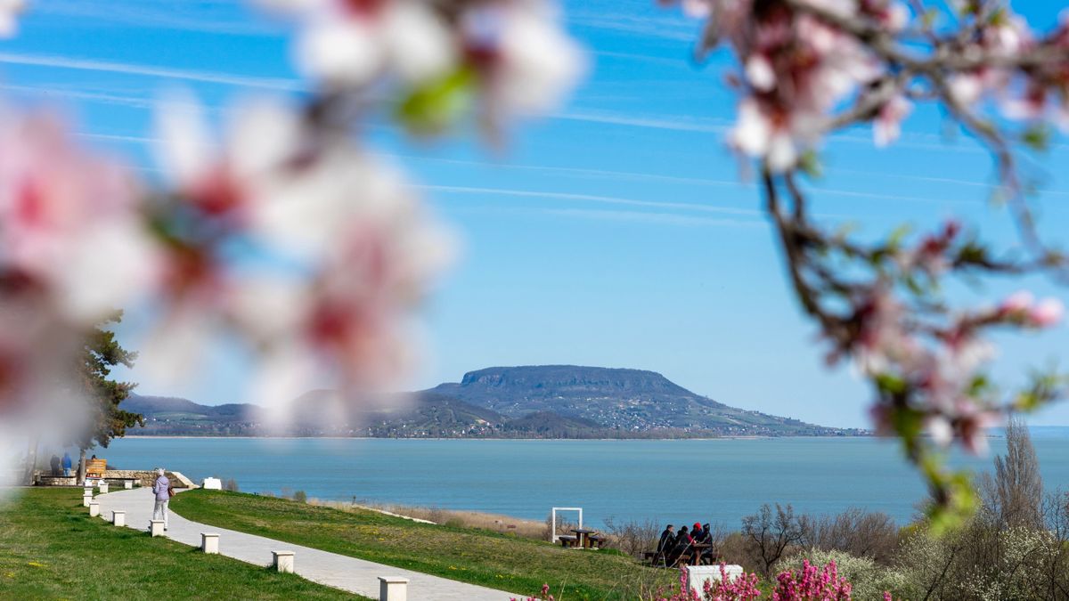 Beautiful,Spring,Landscape,In,Hungary,At,Lake,Balaton,With,Blooming Balaton turizmus
turisztikai szálláshelyek
vendégforgalom idegenforgalom