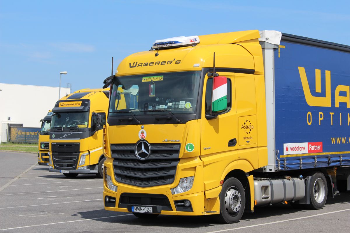 Waberer's, nyereség, biztosító