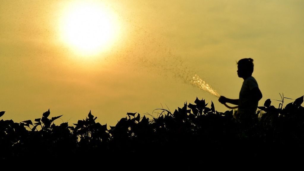 Agricultural Drought Resistance agrárium mezőgazdaság öntözés agrártámogatás