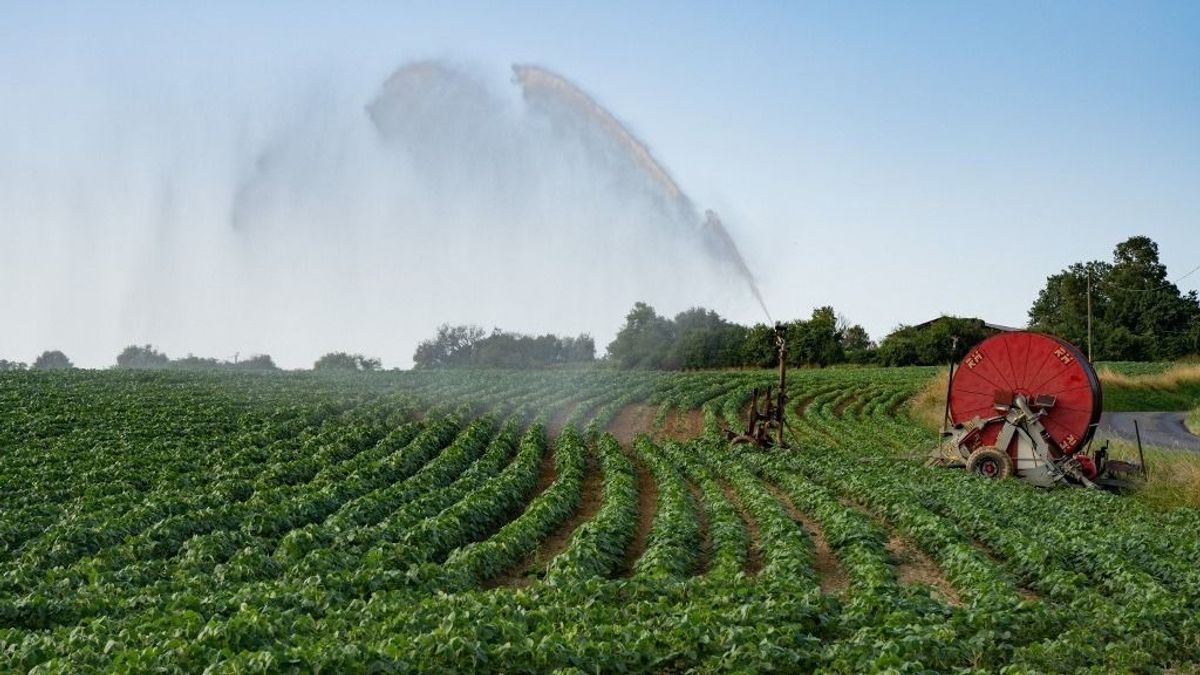 Debrecen BMW-város, Kecskemét Mercedes-város, Szeged pedig a BYD városa: kiderült, mi lesz Békéscsaba – Lázár János teljes vidékfejlesztési programot vázolt 