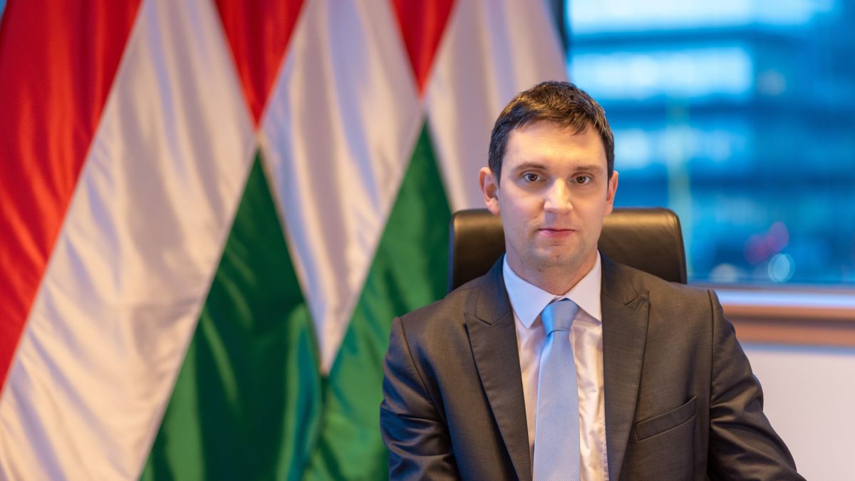 Kritikus nyersanyagok sora után indul a kutatás Magyarországon 