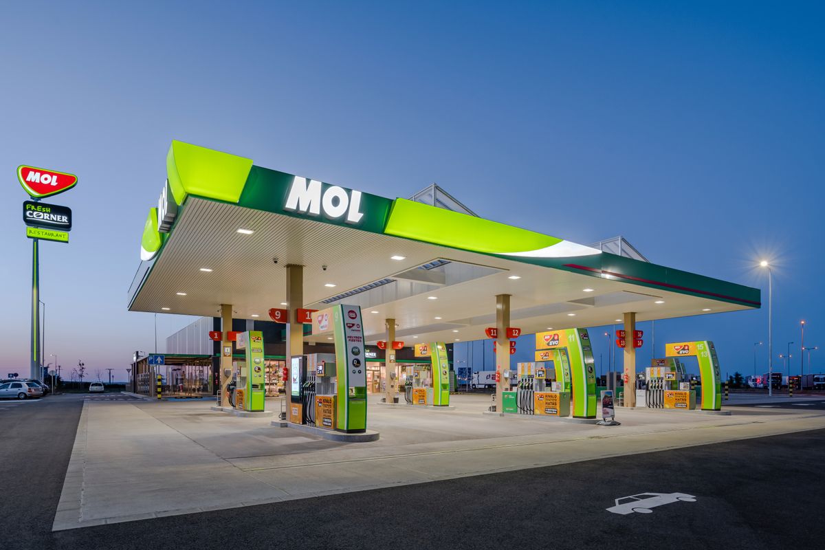 Mol, részvény, osztalék