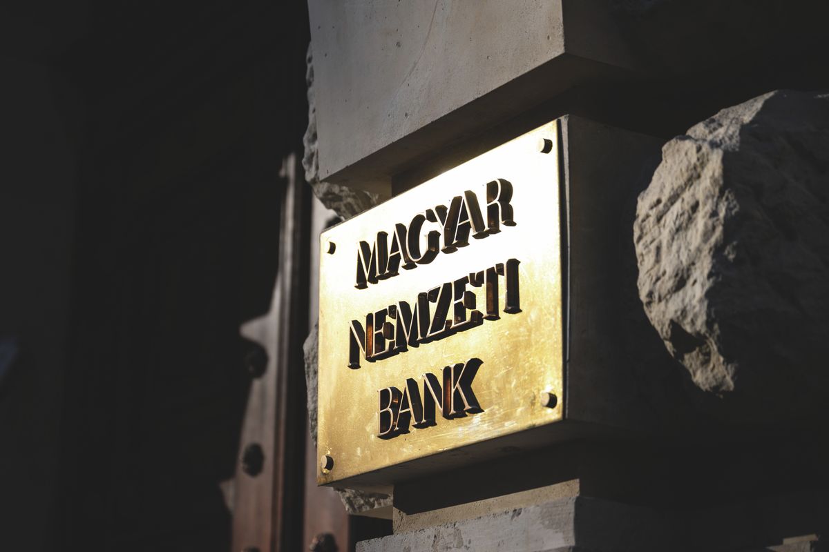 LB_20250217_MNB_0007