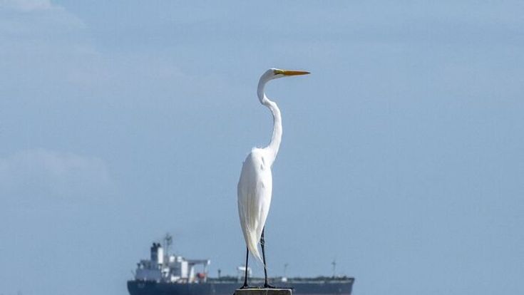 Az olajsokk képekben - megremegett a világ