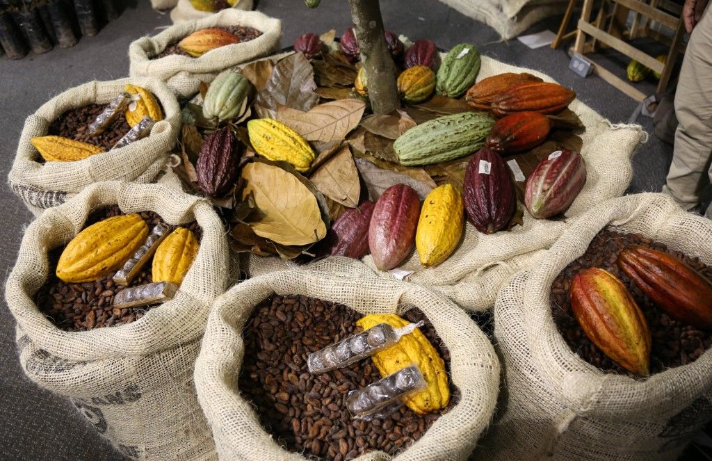 Chocoshow Chocolate Fair in Bogota kakaó kakaóbab édesség csokoládé