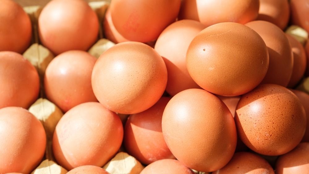 tojás, egg, Ei 