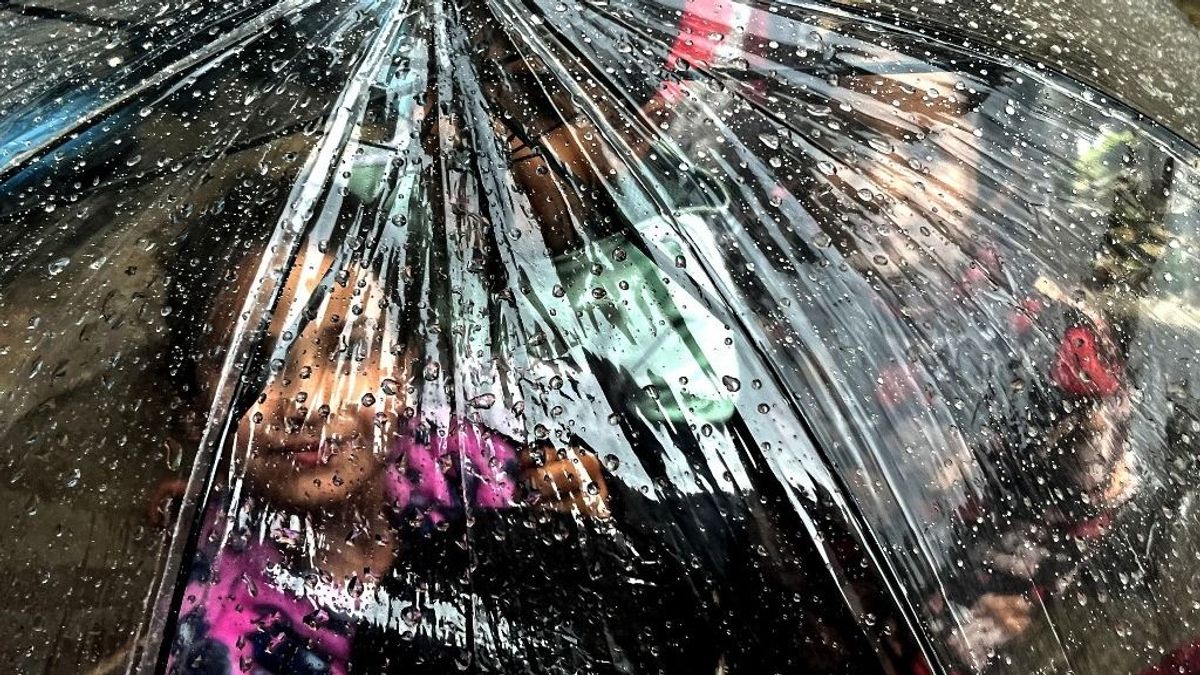 Ez történt a héten a világban, fotógalérián a legfontosabb történések: sötétség, konfliktus és reflektorfény 